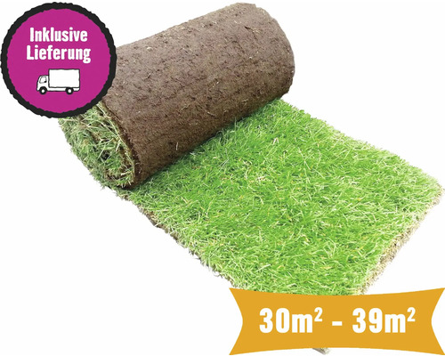 Rollrasen Sport & Spiel Bestellmenge 30-39 m² tagesfrisch geschält, strapazierfähig, schnelle Regeneration, für sonnige bis halbschattige Lage, ideal für Familien Rollrasen, 30 bis 39 Quadratmeter