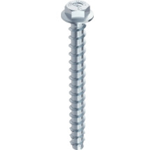 Befestigungsschraube mit Linsenkopf und Flansch