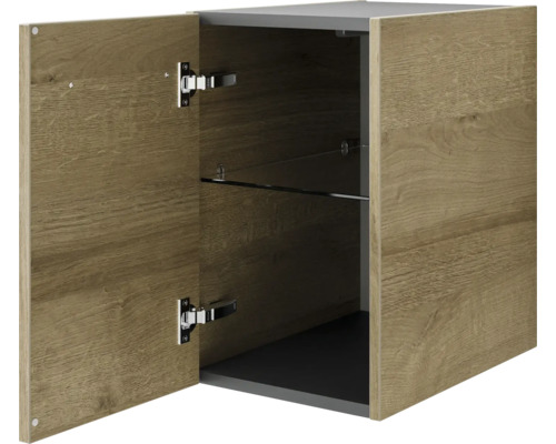 Hängeschrank mit geöffneter Holztür und Glasboden