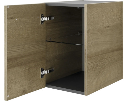 Hängeschrank mit geöffneter Holztür und Glasregal