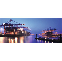 Frachtschiffe und Kräne in einem Hafen bei Nacht