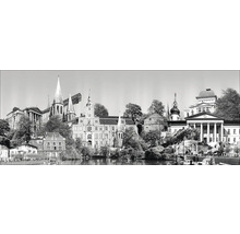 Schwarzweiße Panoramaaufnahme einer Stadtlandschaft mit verschiedenen Gebäuden und Bäumen.