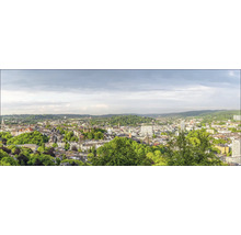 Panoramaaufnahme einer Stadtlandschaft mit Gebäuden und Bäumen