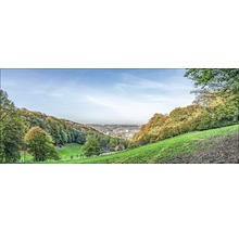 Panoramaansicht einer Landschaft mit Hügeln, Bäumen und einer Stadt im Hintergrund