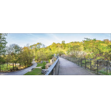 Landschaftsansicht mit Fußgängerbrücke und herbstlichen Bäumen