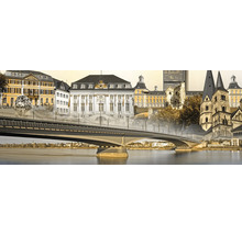 Brücke über einen Fluss mit Stadtansicht