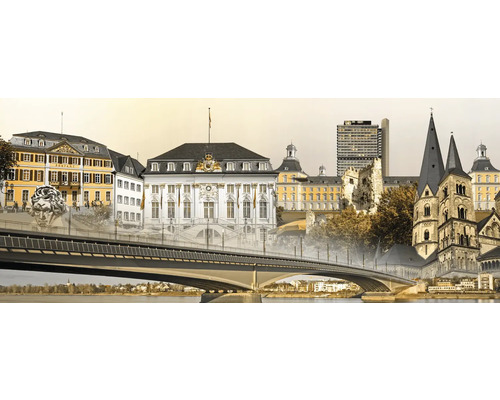 Glasbild Bonn I 125x50 cm