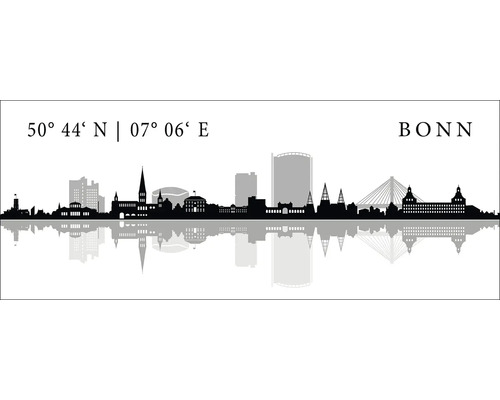 Glasbild Bonn V 125x50 cm