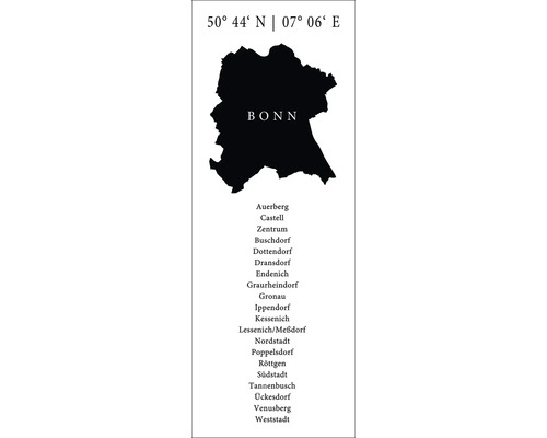 Glasbild Bonn VIII 30x80 cm