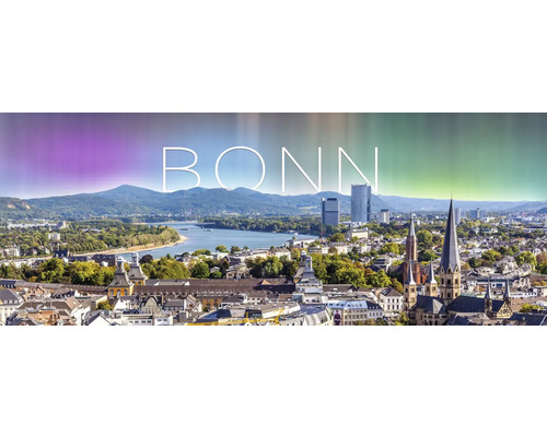 Glasbild Bonn XII 80x30 cm