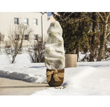 Eingepflanzte Pflanze mit Winterschutz im Garten.