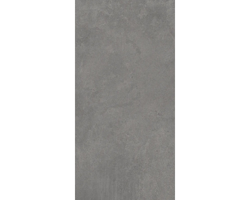 Steingut Wand- und Bodenfliese Venezia grau 30 x 60 x 0,75 cm matt