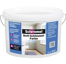 Eimer Anti Schimmel Farbe für Innenräume