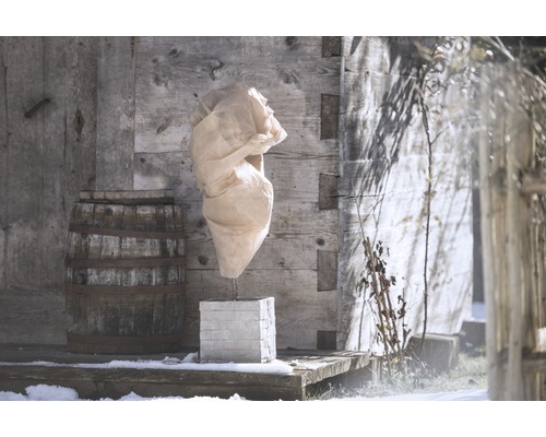 Abdeckung für Pflanze zum Schutz vor Frost auf Steinsäule vor Holzhütte