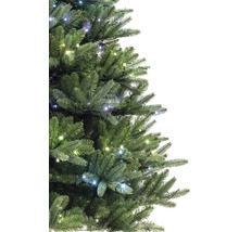 Detailansicht eines geschmückten Weihnachtsbaums mit Lichtern