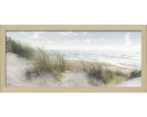 Gerahmtes Bild Baltic Sea Coast 60x130 cm