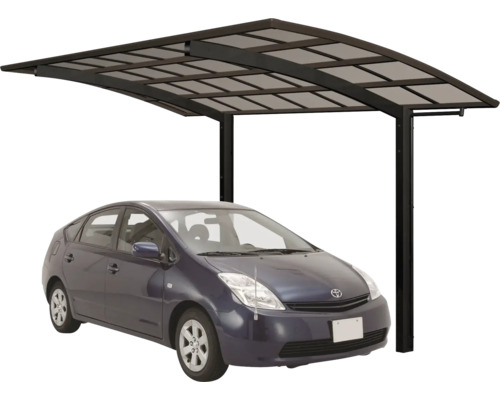 Auto unter Carport