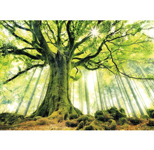 Wandtuch grüner Baum 350x250 cm