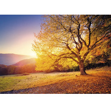 Herbstlandschaft mit Baum und fallenden Blättern