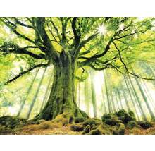Wandtuch grüner Baum 250x190 cm