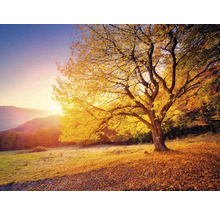 Wandtuch goldener Baum 250x190 cm