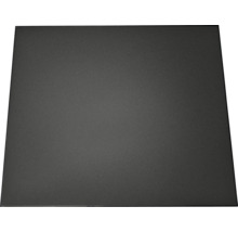 Ersatzteil Tenneker® Carbon E Ablage CE03 AR7796