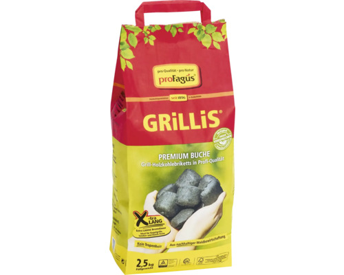 Grillbrikett ProFagus Grillis Premium Buche 2,5 kg