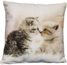 Dekokissen mit Fotodruck zwei Katzen 40x40 cm