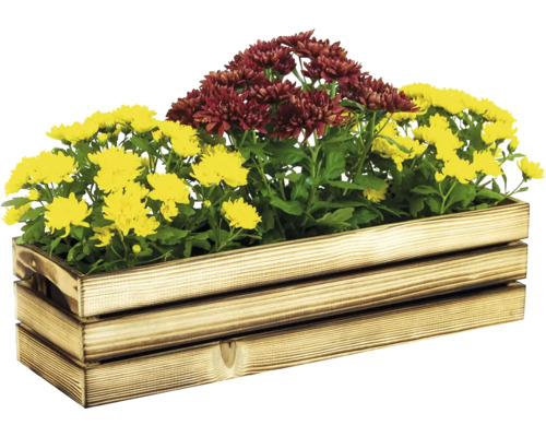 Blumenkasten aus Holz mit gelben und roten Chrysanthemen