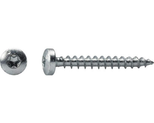 Holzschraube mit Torx Antrieb und Linsenkopf