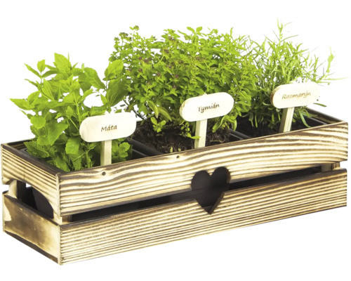 Holzkiste mit Minze, Thymian und Rosmarin Kräutern und zugehörigen Pflanzenschildern