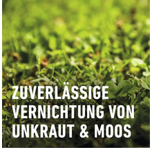 Rasendünger Compo gegen Unkraut-Moos 3 kg 100 m²-thumb-4