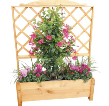Blumenkasten aus Holz mit Rankgitter und blühenden Pflanzen
