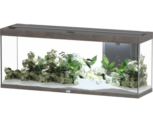 Aquarium aquatlantis Splendid 300 inkl. Beleuchtung, Filter Wildeiche dunkel Aquarium mit Fischen, Pflanzen und Steinen