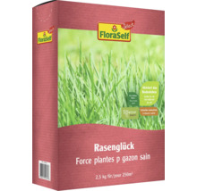 FloraSelf Rasenglück Packung für 250 Quadratmeter