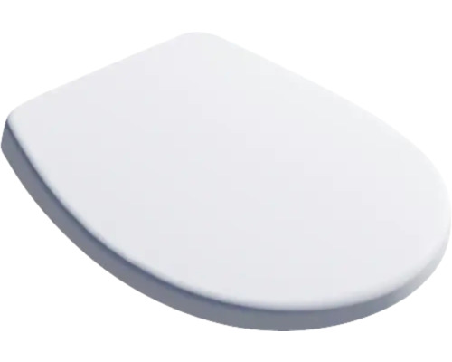 Toilettendeckel aus Sanitärkeramik