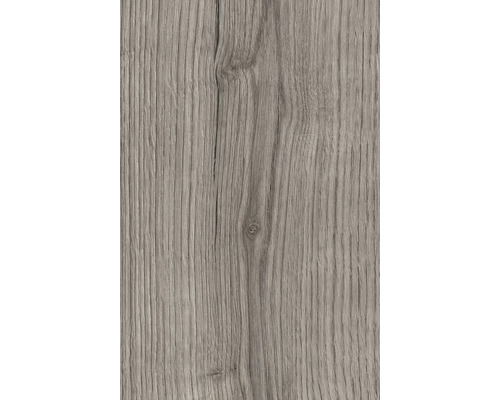 Holzstruktur Nahaufnahme