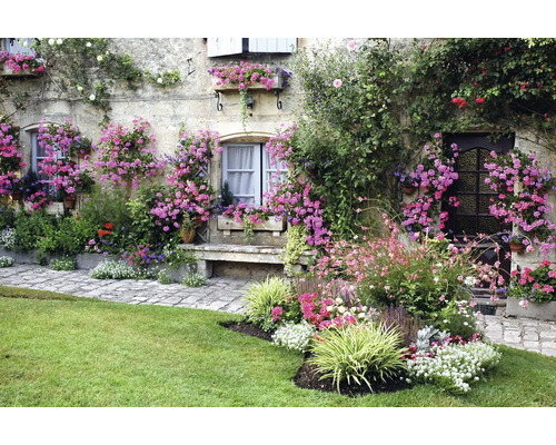 Outdoorbild Geranien am Haus 77x117 cm Outdoorbild Geranien am Haus 77x117 cm