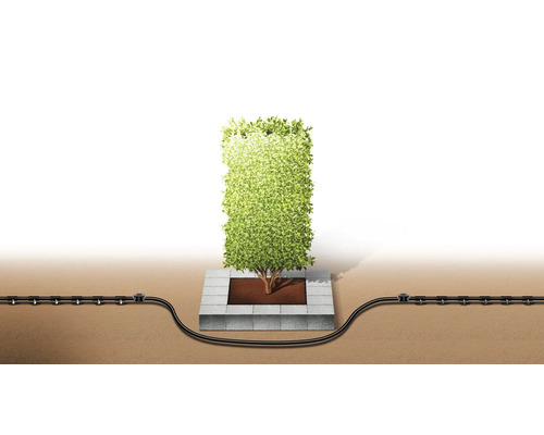 Bewässerungssystem für Heckenpflanzen im Garten