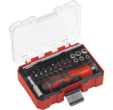 Schraubendreher-Set mit Bits in roter Kunststoffbox
