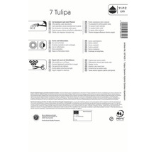 Informationen zu Tulpenzwiebeln
