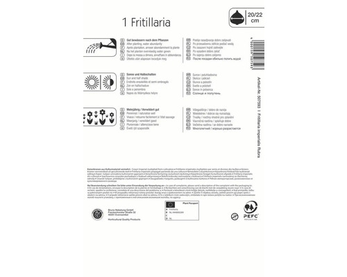Informationen zu Fritillaria Blumenzwiebeln, einschliesslich Giessen nach dem Pflanzen, Standort und mehrjaehrigem Wachstum