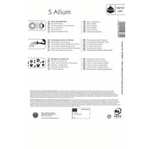 Informationen zur Pflanzung von 5 Allium Blumenzwiebeln