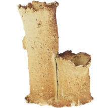 Aquariumdeko aquaroche Double Trunk handmodeliert, wasserneutral, leicht, porös, Keramik 10 x 6 cm creme braun