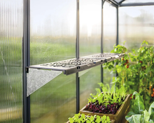 Regal im Gewächshaus mit Gemüse und Pflanzen