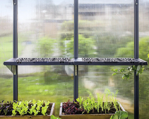Gewächshausinnenausstattung mit Regalen und Pflanzen