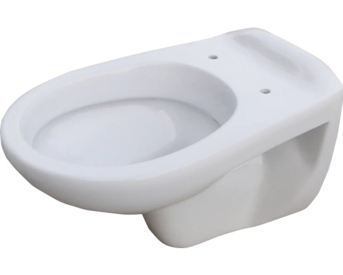 Wand-WC Vereg DNP Tiefspüler mit Spülrand weiß glänzend ohne WC-Sitz