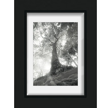 Portraitrahmen Holz Modern schwarz 9x13 cm