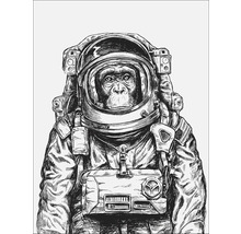 Illustration eines Schimpansen in einem Raumanzug