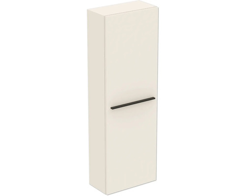 Hängeschrank mit Tür und Griff